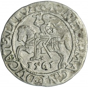 Zikmund II August, půlpenny Vilnius 1561 - L/LITVA