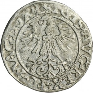 Zikmund II August, půlpenny Vilnius 1561 - L/LITVA