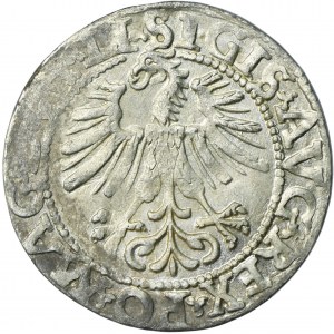 Sigismund II August, Half-groat 1562 LI/LITV