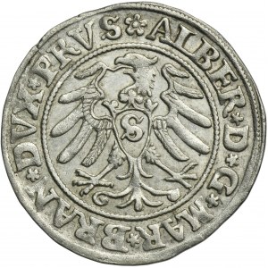 Knížecí Prusko, Albrecht Hohenzollern, Grosz Königsberg 1531 - PRVS