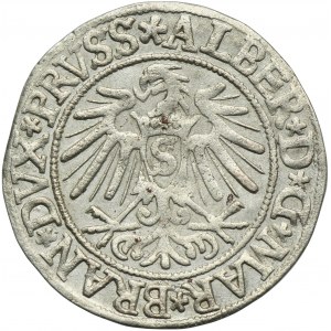 Ducal Prussia, Albrecht Hohenzollern, Groschen Königsberg 1537 - PRVSS