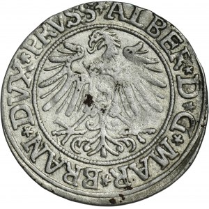 Kniežacie Prusko, Albrecht Hohenzollern, Grosz Königsberg 1535 - PRVSS