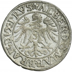Kniežacie Prusko, Albrecht Hohenzollern, Grosz Königsberg 1535 - PRVS