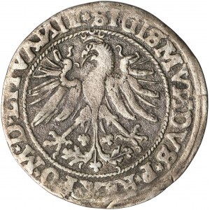 Sigismund I the Old, Groschen Vilnius 1535 - LITVAИ/LITVAИIE
