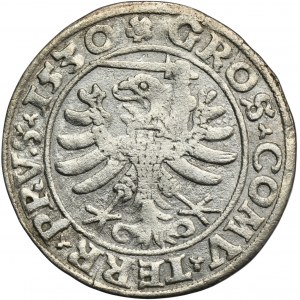 Sigismund I the Old, Groschen Thorn 1530 - PRVS/PRVS