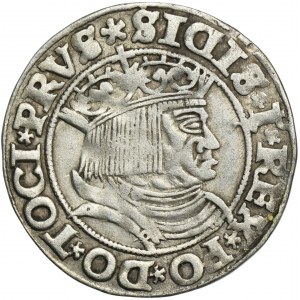 Žigmund I. Starý, Grosz Toruń 1531 - PRVS/PRVSS