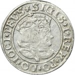 Žigmund I. Starý, Grosz Toruń 1534 - VELMI ZRADKÉ, PRVS/PRVSSIE