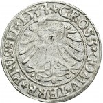 Sigismund I the Old, Groschen Thorn 1534 - VERY RARE, PRVS/PRVSSIE