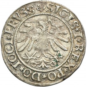Sigismund I the Old, Groschen Elbing 1533 - PRVSS