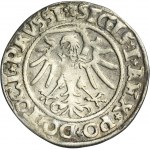 Zikmund I. Starý, haléř Elblag 1535 - VELMI RARITNÍ, PRVSSI