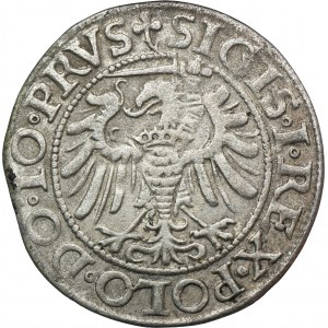 Zikmund I. Starý, groš Elbląg 1539 - PRVS, list vpravo