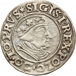 Sigismund I the Old, Groschen Danzig 1539 - PRVS