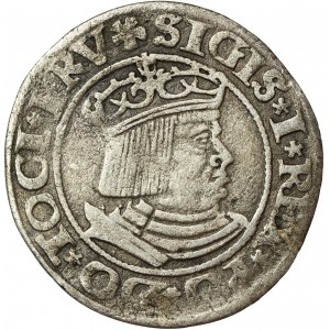 Sigismund I the Old, Groschen Danzig 1531 - PRV