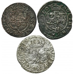 Set, Sigismund III Vasa, Schilling (3 pcs.)