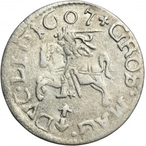 Žigmund III Vasa, penny Vilnius 1607