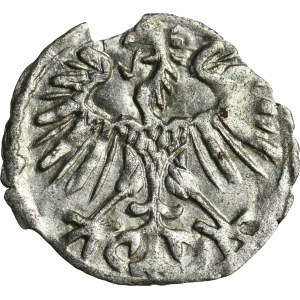 Sigismund II August, Denarius Vilnius 1555