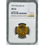 5 gold 1977 - NGC MS66