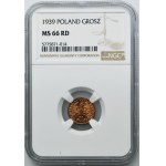 1 grosz 1939 - NGC MS66 RD