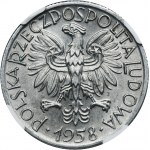 5 złotych 1958 Rybak - NGC MS63 - wąska ósemka