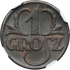 1 grosz 1923 - NGC MS65 BN