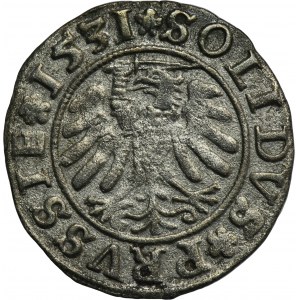 Sigismund I the Old, Schilling Thorn 1531
