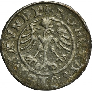Sigismund I the Old, 1/2 Groschen Krakau 1511