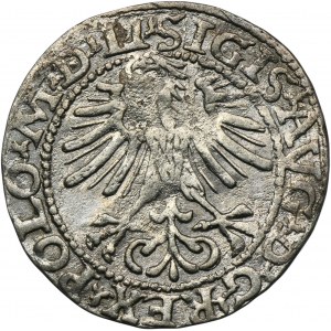 Sigismund II August, 1/2 Groschen Vilnius 1564 - LI/LITV