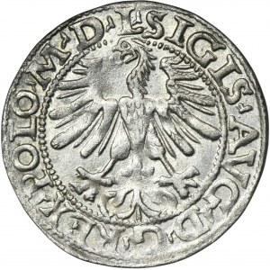 Sigismund II August, 1/2 Groschen Vilnius 1565 - L/LITV