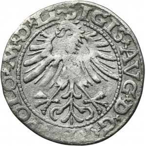 Zikmund II August, půlgroš Vilnius 1563 - LI/LITVA