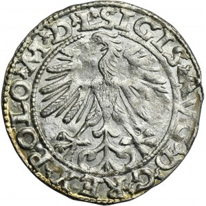 Sigismund II August, 1/2 Groschen Vilnius 1563 - L/LITVA
