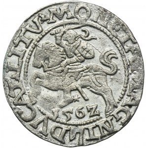 Zikmund II August, půlgroš Vilnius 1562 - L/LITV