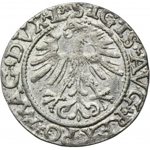 Sigismund II August, 1/2 Groschen Vilnius 1562 - L/LITV