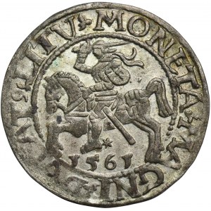 Žigmund II August, polgroš Vilnius 1561 - L/LITV