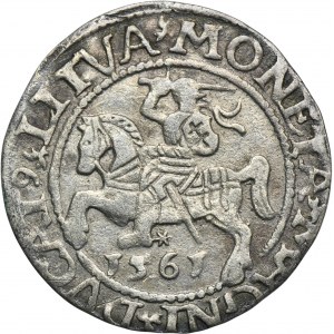 Zikmund II August, půlpenny Vilnius 1561 - L/LITVA