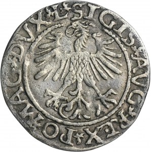 Zikmund II August, půlpenny Vilnius 1561 - L/LITVA