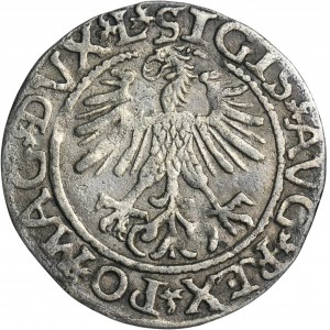 Sigismund II August, 1/2 Groschen Vilnius 1561 - L/LITVA