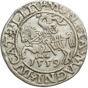 Zikmund II August, půlgroš Vilnius 1559 - L/LITV