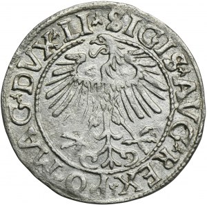 Sigismund II August, 1/2 Groschen Vilnius 1557 - LI/LITVA