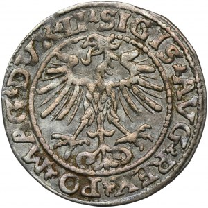 Zikmund II August, půlgroš Vilnius 1552 - RAIDER, LI/LITVA