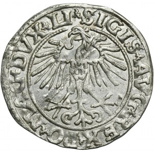 Žigmund II August, polgroš Vilnius 1551 - LI/LITVA