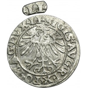 Žigmund II August, polgroš Vilnius 1554 - RZADKI, LI/LITVA