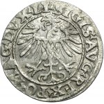 Sigismund II August, 1/2 Groschen Vilnius 1554 - RARE, LI/LITVA