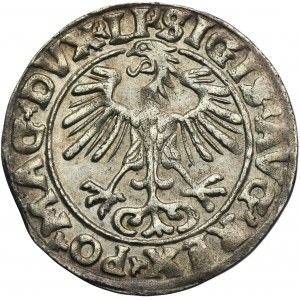 Sigismund II August, 1/2 Groschen Vilnius 1553 - LI/LITVA