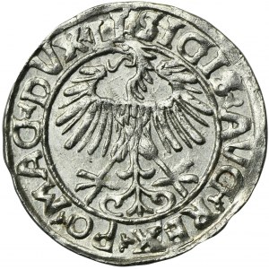 Sigismund II August, 1/2 Groschen Vilnius 1556 - LI/LITVA