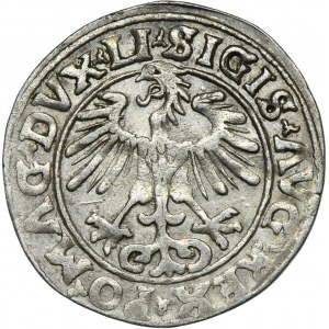 Sigismund II August, 1/2 Groschen Vilnius 1555 - RARE, LI/LITVA