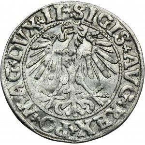Sigismund II August, 1/2 Groschen Vilnius 1550 - LI/LITVA
