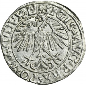 Sigismund II August, 1/2 Groschen Vilnius 1548 - LI/LITVA