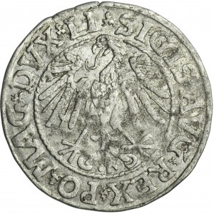 Zikmund II August, půlgroš Vilnius 1546 - LI/LITV