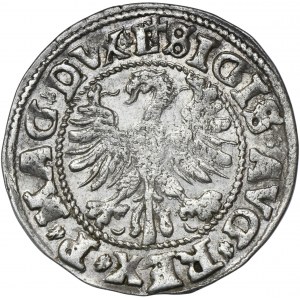 Sigismund II August, 1/2 Groschen Vilnius 1546 - L/LITV
