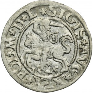 Zikmund II August, Vilnius 1545 půlpenny - VELMI ZRADKÉ, L/LTIVA